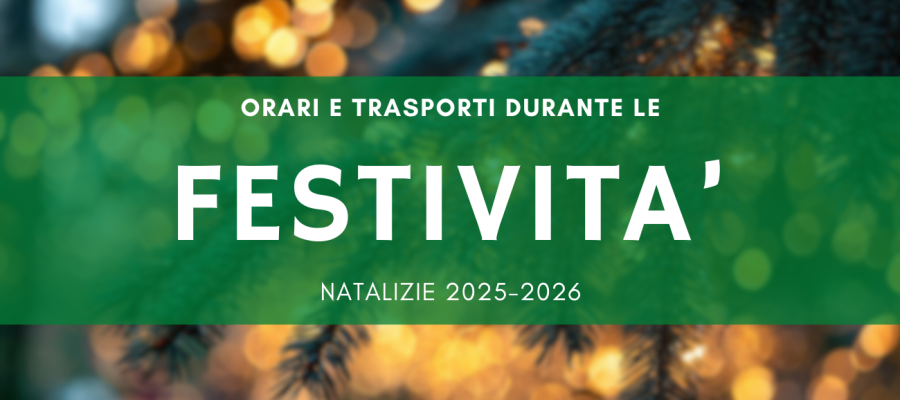Piano mobilità Natale 2025–2026 a Roma con orari speciali della metro, linee gratuite e potenziamenti del servizio.