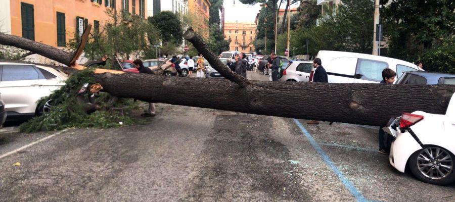 Maltempo, disservizi in corso sulla rete di trasporto pubblico